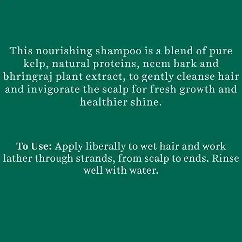 Biotique, Ocean Kelp Anti Hairfall Shampoo,180ML image 4
