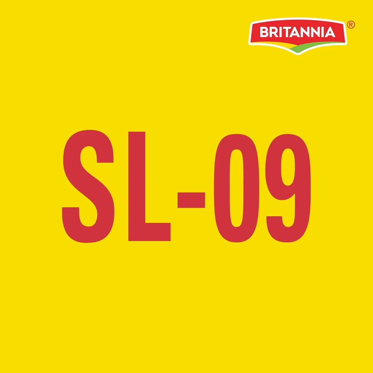  Britannia Nutrichoice Digestive Atta 960g image 5