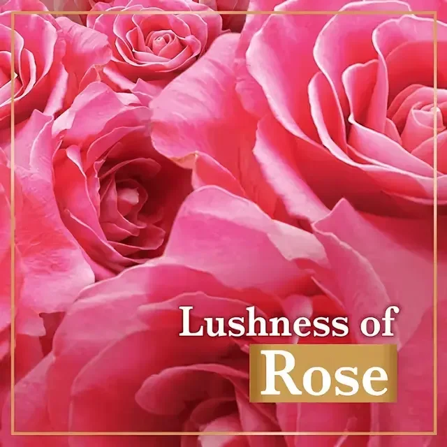 Lux Radiant Glow Rose & Vitamin E Beauty Soap 4×100g + 1 Free | Mega Pack image 4