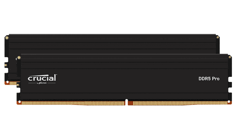 Crucial Pro 48GB (2x24GB) DDR5 5600MHz desktop RAM kit. High-performance memory with a 10-year warranty.