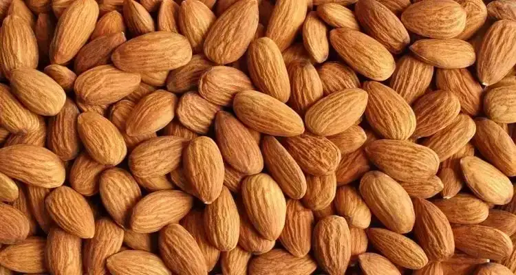 Dried California Almonds, 500 gm, Crunchy & Nutty, No Added Flavors or Preservatives image 2