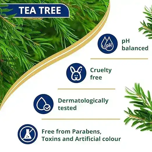 Himalaya Anti-Dandruff Tea Tree Shampoo, 180ml image 2