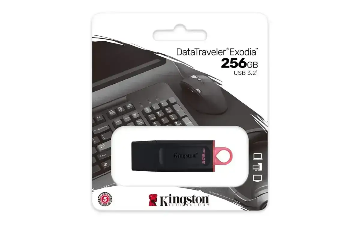 Kingston DataTraveler Exodia DTX/256GBIN, 256GB Pen Drive, USB 3.2 Gen 1 (Multicolor), 5 year Warranty image 3