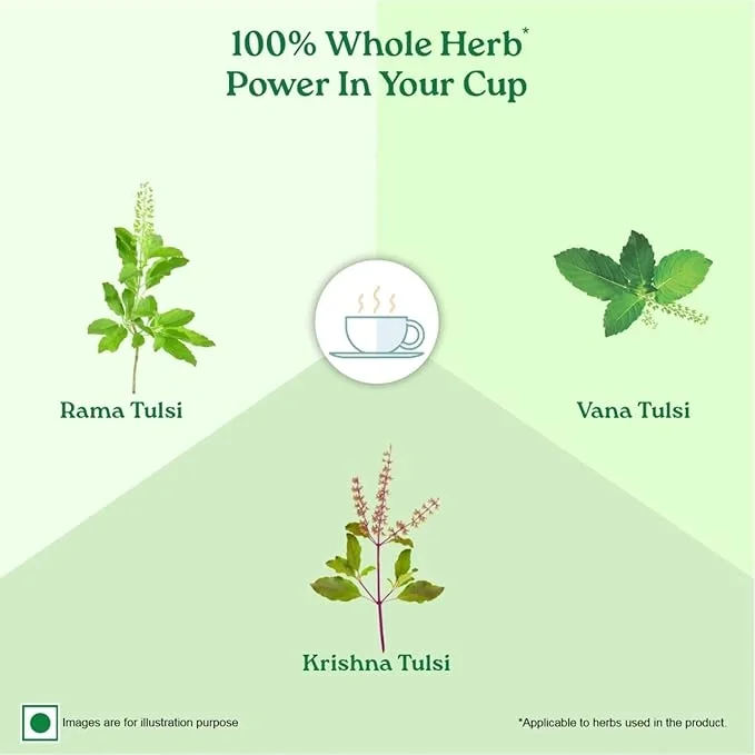 Organic India Tulsi Green Tea Classic - 25 Tea Bags image 6