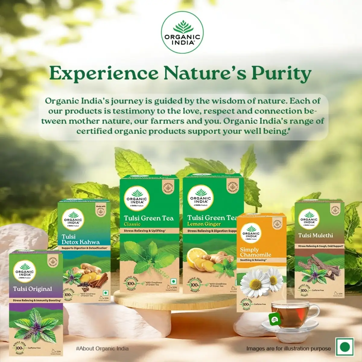 Organic India Tulsi Green Tea Honey Lemon 25 Teabags image 2