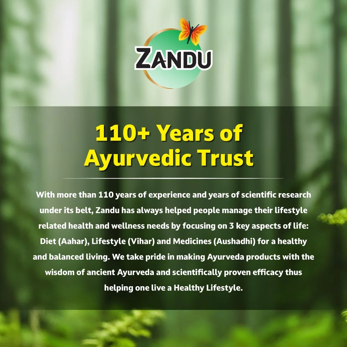  Zandu Chyawanprash Avaleha 900 g | Scientifically proven immunity booster | Boosts energy, stamina and memory | image 6